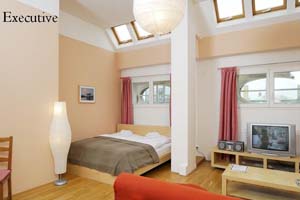8 person comfort 3 room apartment and 2 children with private facilities